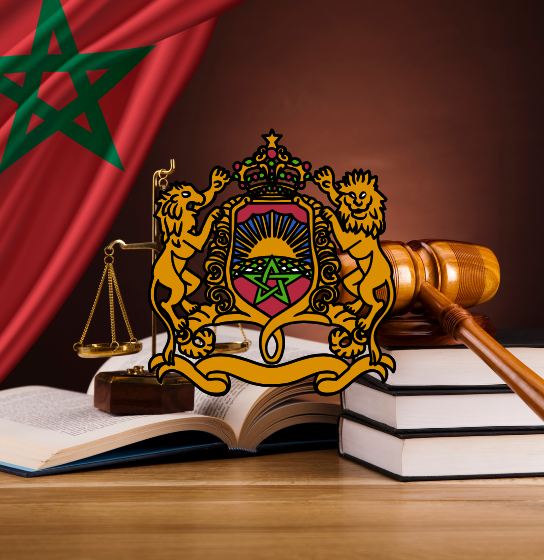 design sans titre (13)